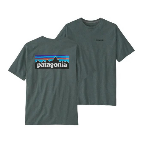 Patagonia Organic T-Shirt