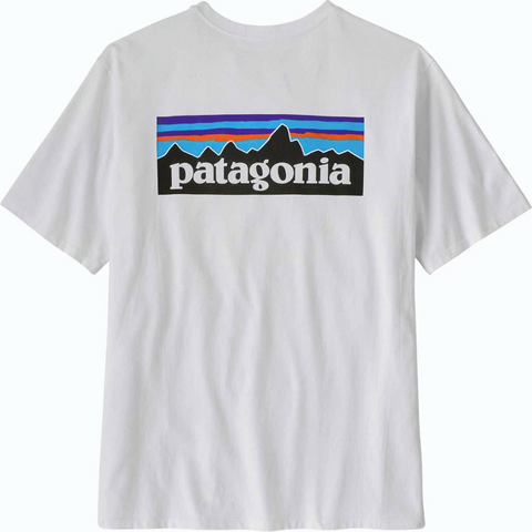 Patagonia Organic T-Shirt