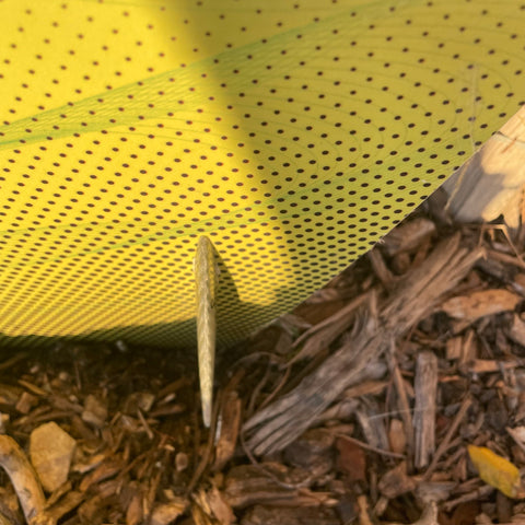 Planche RRD Poison 131 X 39cm Bon état