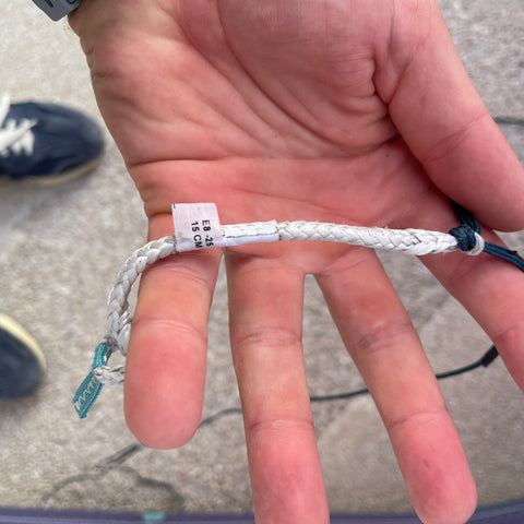 Eleveight RS V8 12m2 Tres Bon Etat