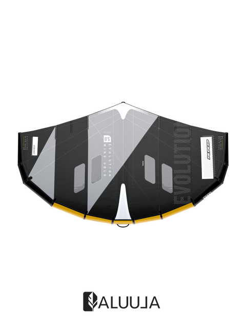 EVOLUTION GOLD WING Y29 Neuf